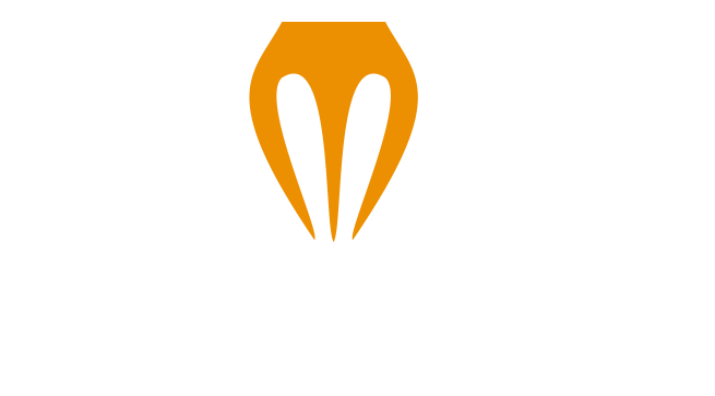 Metro Chef